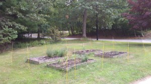 2011-08-06_15-44-56_655