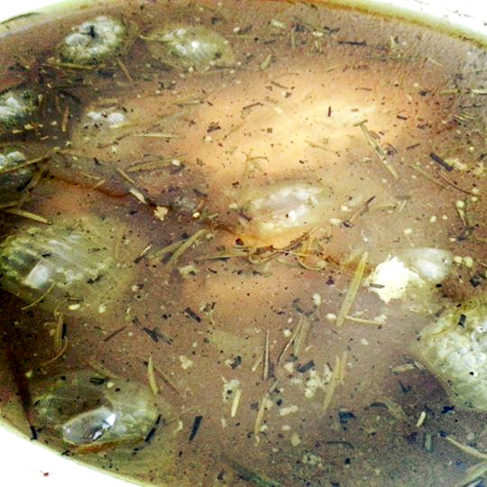 BoneBrothTwentyFourHours