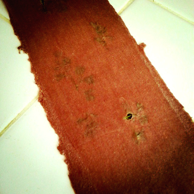 RedWineHerbPastaSheet