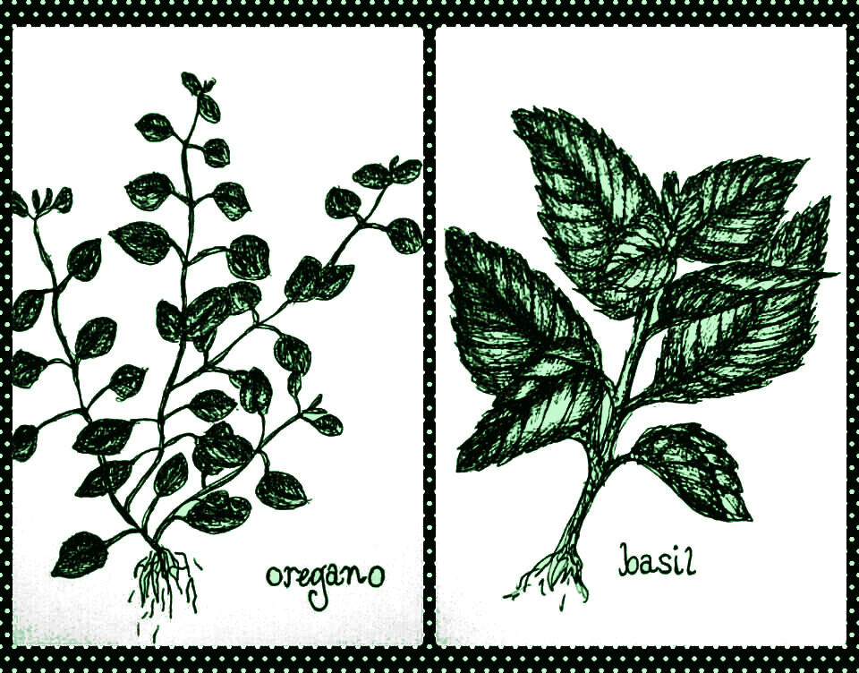 BasilOregano