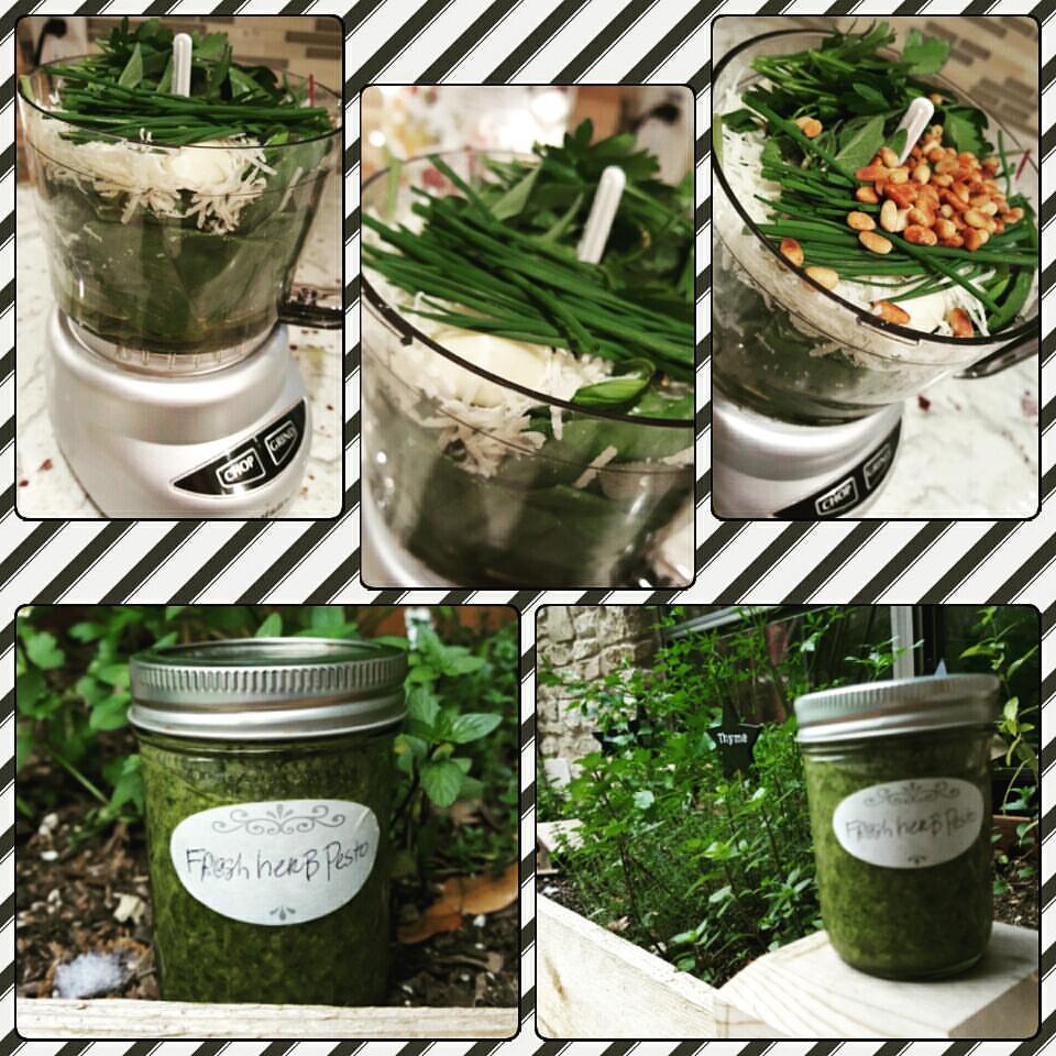 12990971_10208887267836484_4418812814125197956_n