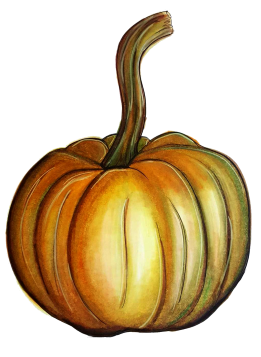 SoftYellowGourd.png