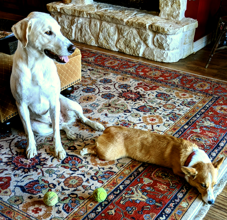 JimmyCarterFionacropped